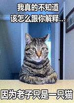 �Ҳ�֪����ô���������ֻ��һͷ�ϻ��������ˮӡ��