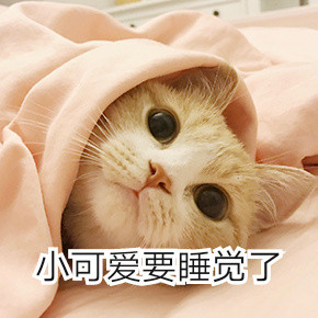 ���С�ɰ�ͻȻ��������è�������ͼ3