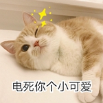 ���С�ɰ�ͻȻ��������è�����