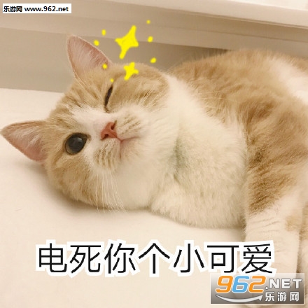 ���С�ɰ�ͻȻ��������è�������ͼ0