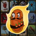 Loteria Latin Bingo(������������������׿��)
