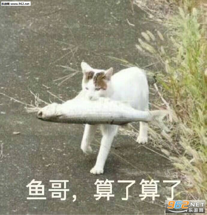 鸡哥算了算了表情包原图截图1