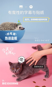猫饼安卓最新版截图2