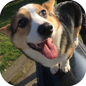 ������app