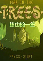 ���е�һ��(Year In The Trees)