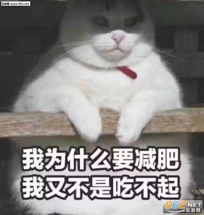 ���Ǿ�������ӿ���ұ������ͼ13