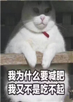 ���Ǿ�������ӿ���ұ����