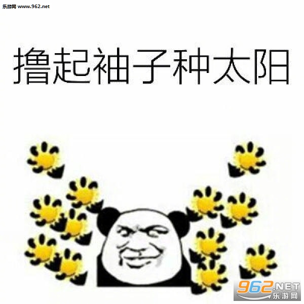 啦啦啦种太阳表情包截图2