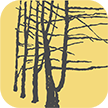 ������app