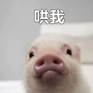 ���ǲ��������б�����˱����