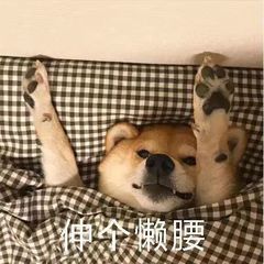 �����޿��������ͼƬ��ͼ0
