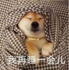�����޿��������ͼƬ��ͼ3