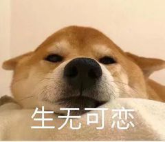 �����޿��������ͼƬ��ͼ5