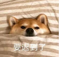 �����޿��������ͼƬ��ͼ8