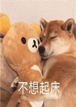 �����޿��������ͼƬ