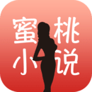 ����С˵app