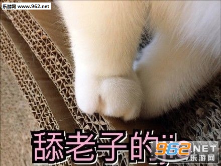 ���ǵ�����ʲô��˼�������ͼ1