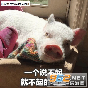 һ��˵��˯�Ͳ�˯����ҹ�������ͼ1