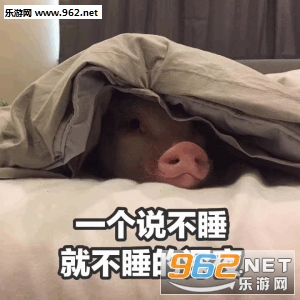 һ��˵��˯�Ͳ�˯����ҹ�������ͼ2