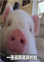 һ��˵��˯�Ͳ�˯����ҹ�����