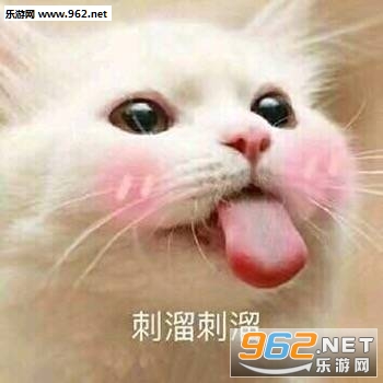 ��С���˵�˵ʲô�ر����ͼƬ��ͼ0