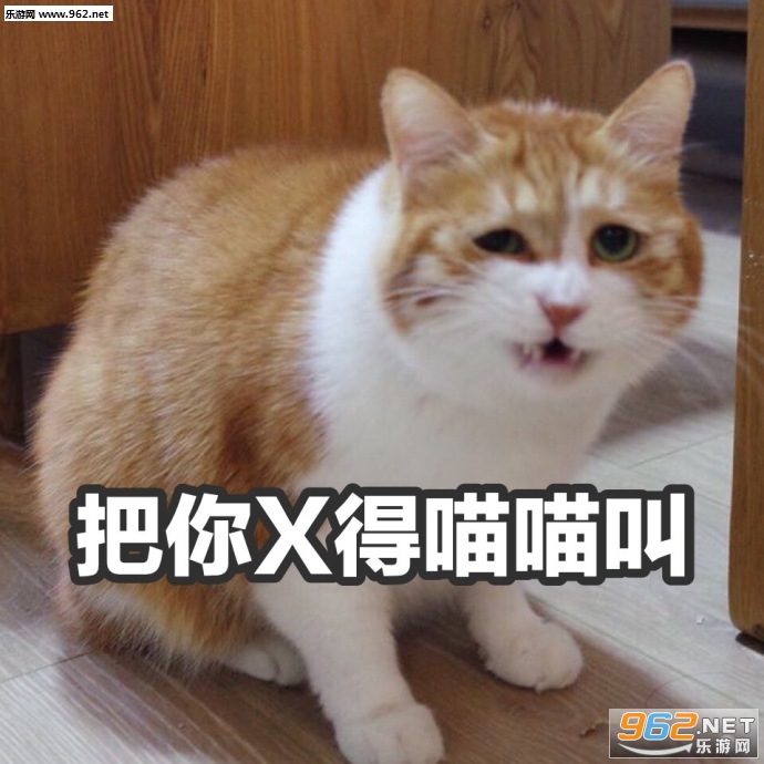��С���˵�˵ʲô�ر����ͼƬ��ͼ4