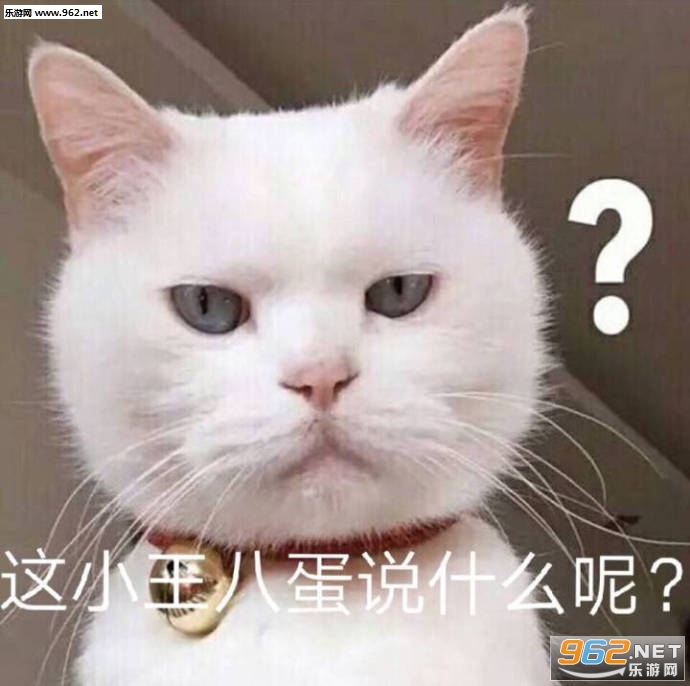 ��С���˵�˵ʲô�ر����ͼƬ��ͼ6