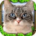 StrayCatSim(������ģ������׿��)