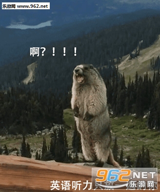 ����ʱ�ļ��ֱ����gif��ͼ2