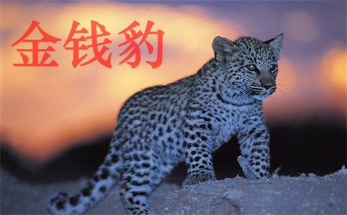 ��Ǯ���������_��Ȩ��_ע���_������