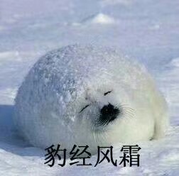 ball ball uʲô��˼�����ͼƬ��ͼ6