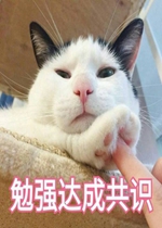 �㻹���Ǹ�ʮ���ɵ�ӱ����