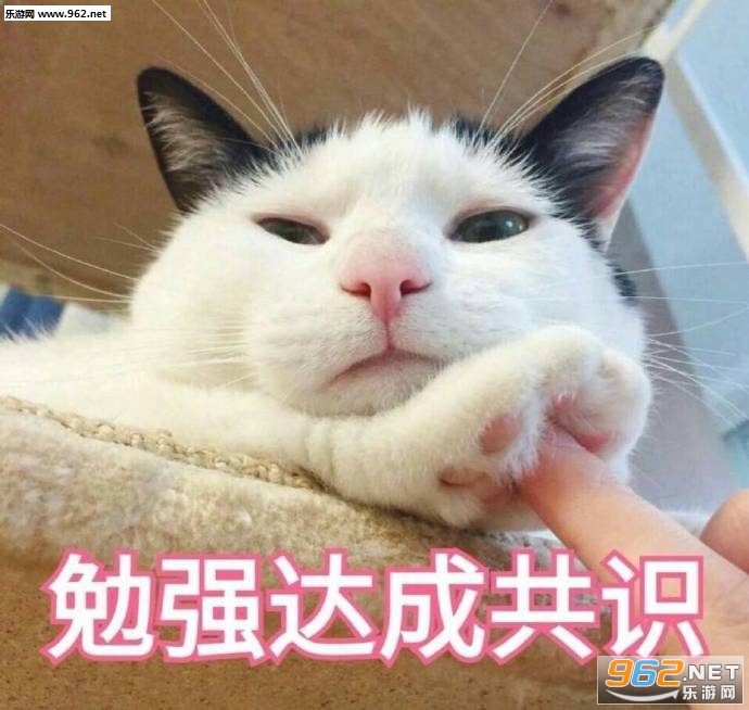 �㻹���Ǹ�ʮ���ɵ�ӱ������ͼ0