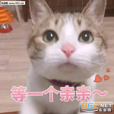 �㻹���Ǹ�ʮ���ɵ�ӱ������ͼ1