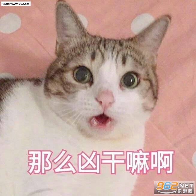 �㻹���Ǹ�ʮ���ɵ�ӱ������ͼ2
