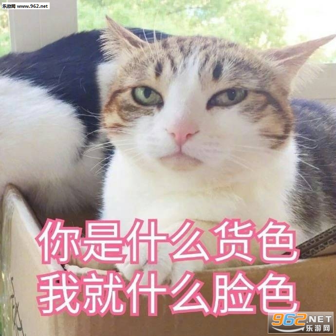 �㻹���Ǹ�ʮ���ɵ�ӱ������ͼ3