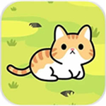 Taming a stray cat(ѱ������è��׿��)