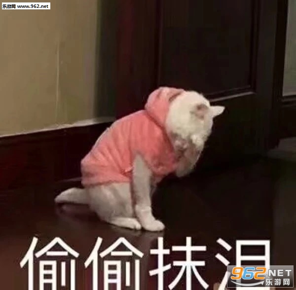 ���齽����������������