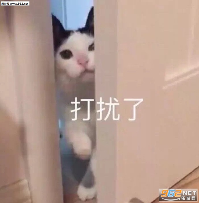 ���齽����������������
