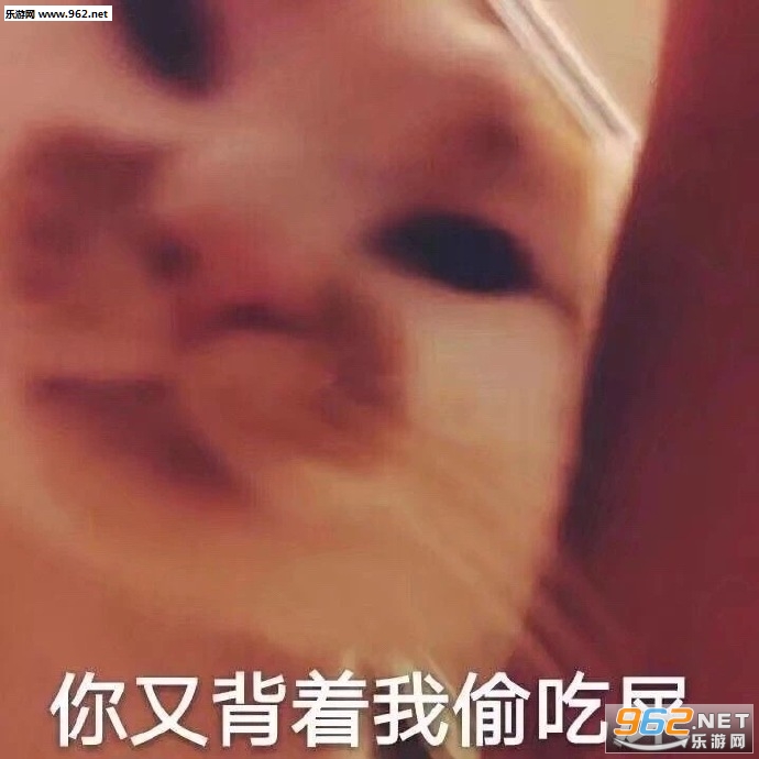 ���齽����������������