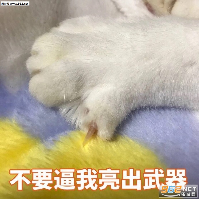 ���齽����������������
