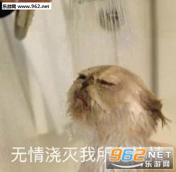 ���齽����������������