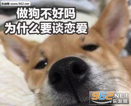 �ܻ�200��Ǯ�����ҵĲ��ɿ���������