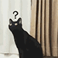 ͷ���ʺű����