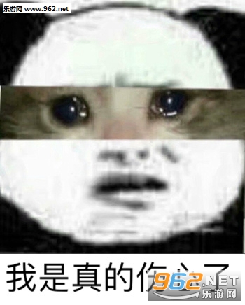 ָ��ͬ����èͷ�����