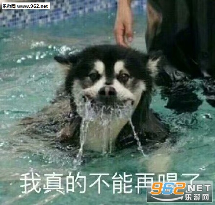 �����������Լ����ϱ����ͼƬ