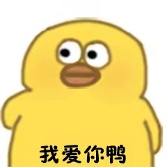 ѼѼ�����