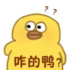 ѼѼ�����
