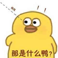 ѼѼ�����