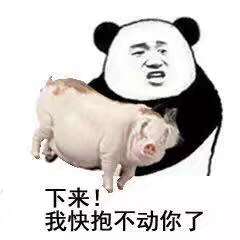 可以说是非常精彩了表情包